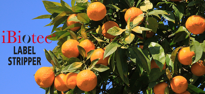 Pereka dan pengilang Perancis bagi pelarut-pelarut bebas piktogram bahaya, pengganti-pengganti CMR, pelarut agro, pelarut eko, penyahgris, pembersih, bahan pelarut, pelarut, pelekang, dekontaminasi.